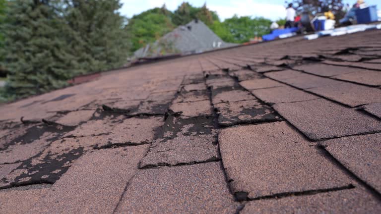 Asphalt Shingles Roofing in Ken Caryl, CO